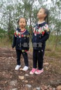 带着孩子上山去砍柴